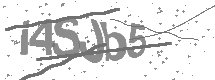 visual captcha